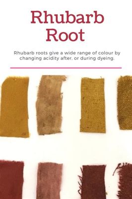  Rhubarb Root: A Sustainable Source for Dyeing and Medicine?